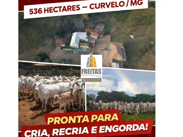Imagem: Fazenda à Venda em Curvelo MG - 536 Hectares