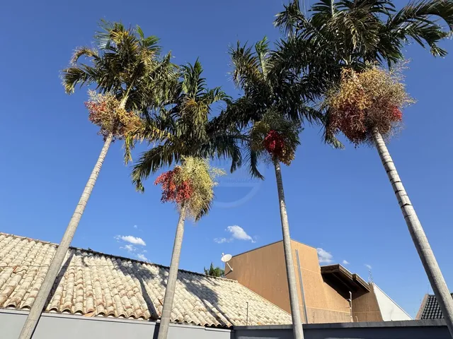 Imagem 4: Casa à venda no bairro Jardim Europa - Dourados/MS