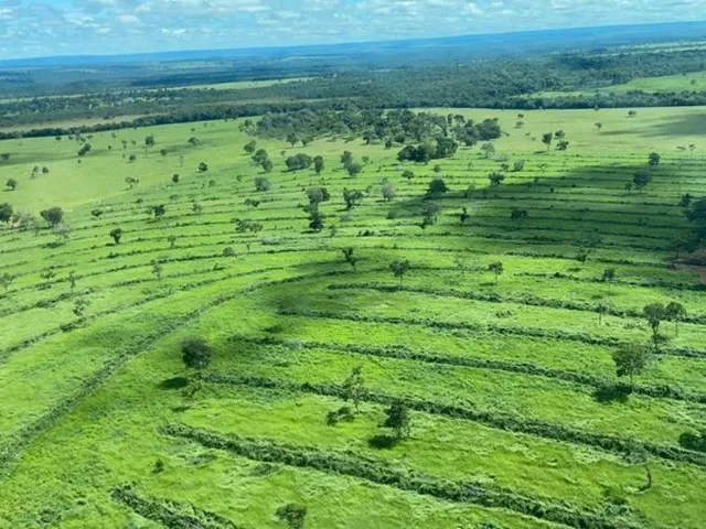 Imagem: A fazenda possui 10 Dormitórios, 10 Suítes, 70.000.000m²