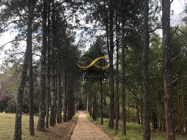 Imagem 4: Sítio à venda no bairro Satélite - Juatuba/MG