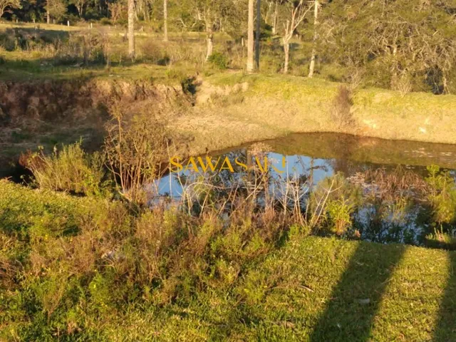 Imagem 4: Chácara para Venda