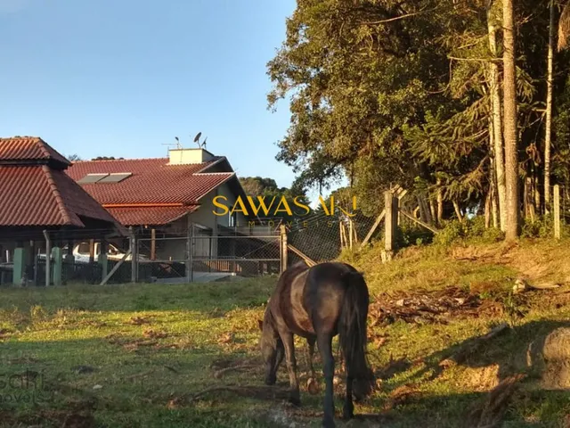 Imagem 9: Chácara para Venda