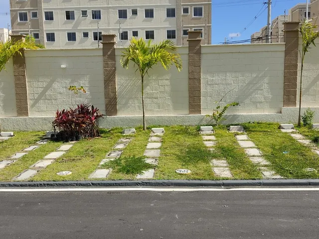 Imagem 14: Costa dos Coqueiros