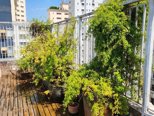 Imagem: Cobertura de luxo no coração de Higienópolis
