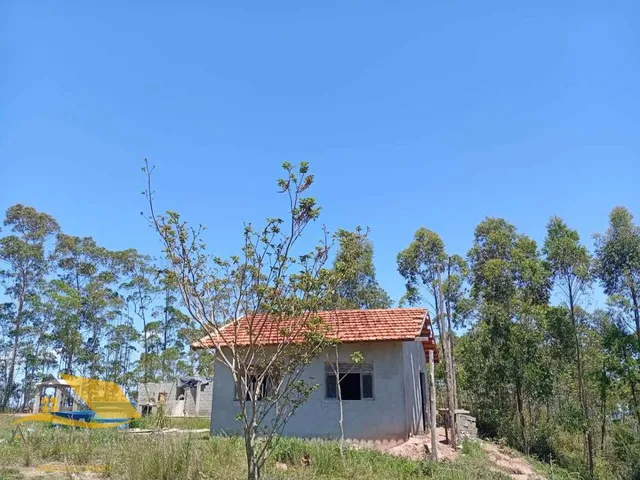 Imagem: Vendo Chácara em Bom Jardim com 5000 mts²