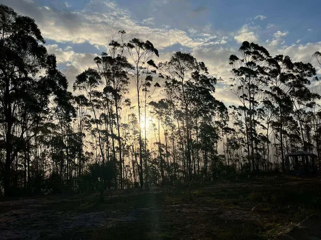 Imagem 8: Vendo Chácara em Bom Jardim com 5000 mts²