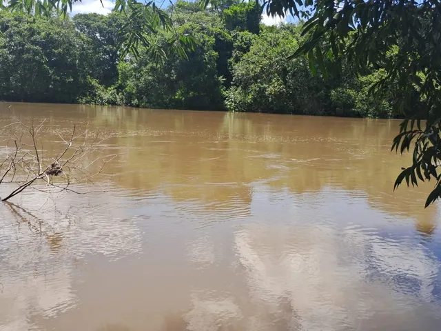 Imagem 6: Fazenda para venda na região de Cassilandia-MS com 94 alqueires em pastagem, rica em