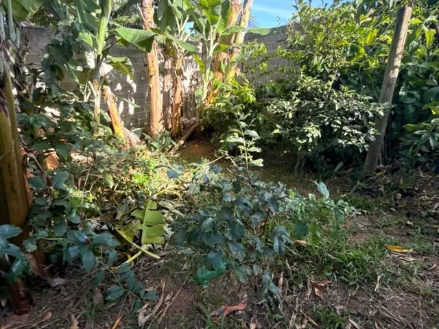 Imagem 11: Chácara à Venda em Guarapari-ES: Oportunidade em Perocão, 1 Quarto Suíte, Sala, 2