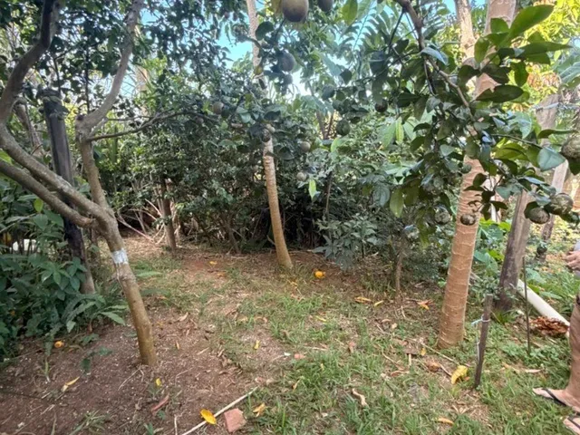 Imagem 5: Chácara à Venda em Guarapari-ES: Oportunidade em Perocão, 1 Quarto Suíte, Sala, 2