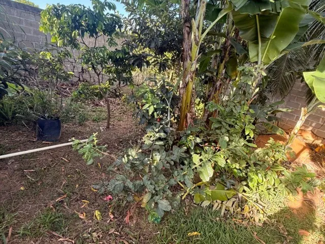 Imagem 15: Chácara à Venda em Guarapari-ES: Oportunidade em Perocão, 1 Quarto Suíte, Sala, 2