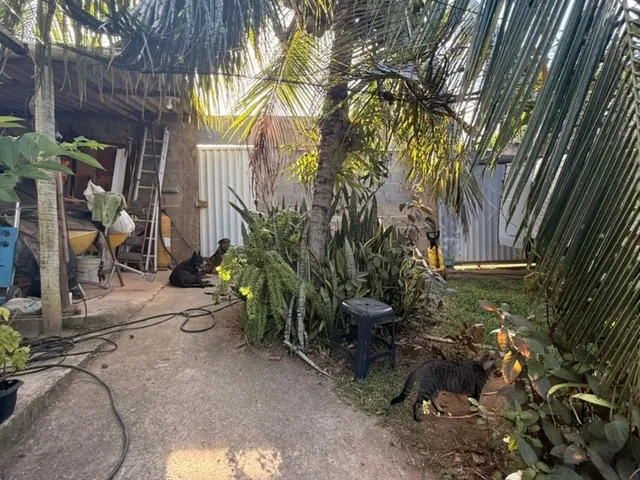 Imagem 6: Chácara à Venda em Guarapari-ES: Oportunidade em Perocão, 1 Quarto Suíte, Sala, 2