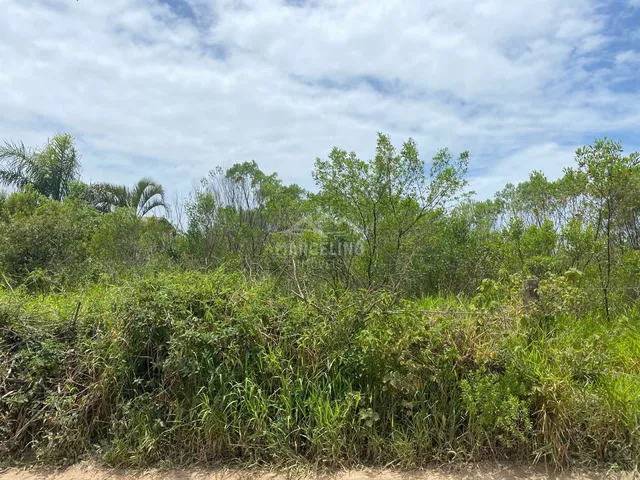 Imagem 9: Lote próximo ao centrinho do Rosa