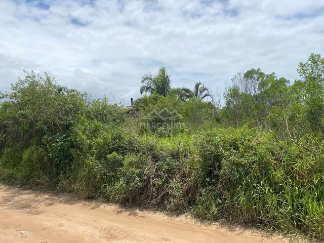 Imagem 3: Lote próximo ao centrinho do Rosa