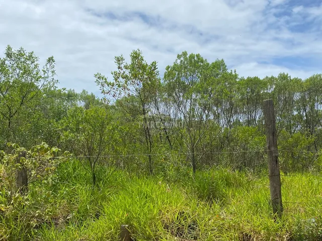 Imagem 4: Lote próximo ao centrinho do Rosa