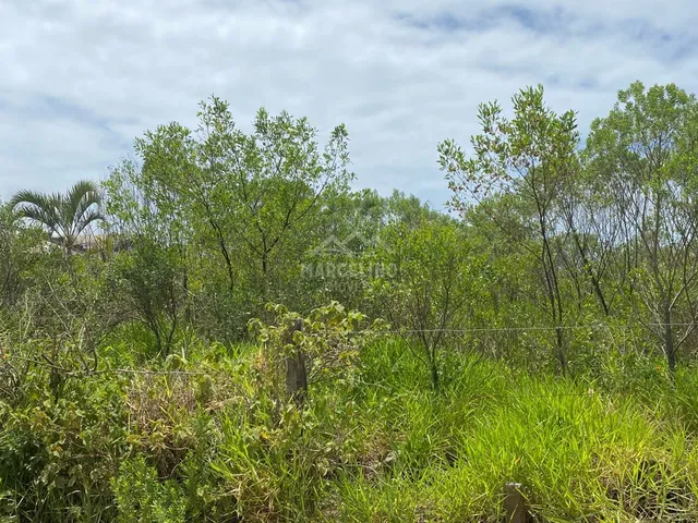 Imagem 6: Lote próximo ao centrinho do Rosa