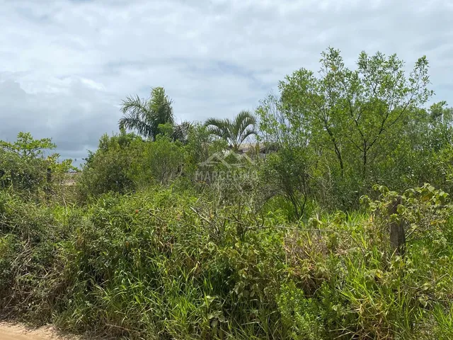 Imagem 7: Lote próximo ao centrinho do Rosa
