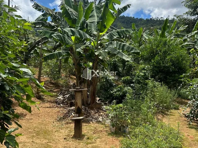 Imagem 6: Chácara com 3.000 m² à venda em Biriricas, Domingos Martins/ES - Casa ampla, nascente