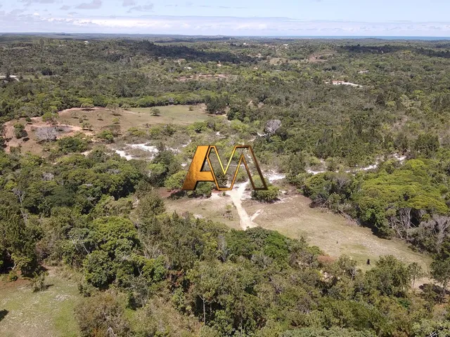 Imagem 10: SÍTIO EM MATA DE SÃO JOÃO