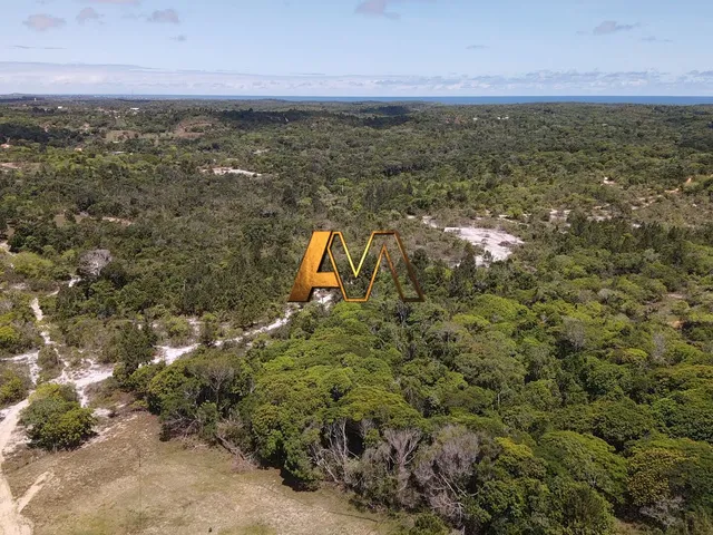 Imagem 6: SÍTIO EM MATA DE SÃO JOÃO