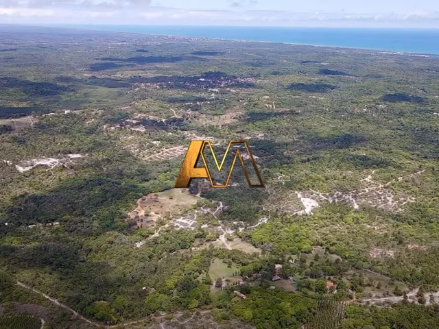Imagem 9: SÍTIO EM MATA DE SÃO JOÃO