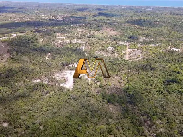 Imagem 7: SÍTIO EM MATA DE SÃO JOÃO