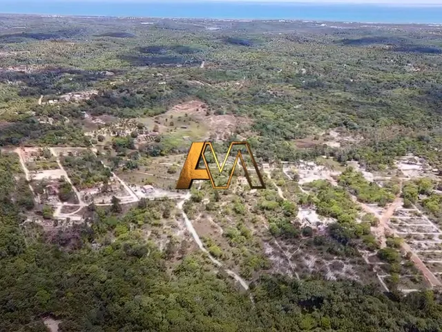 Imagem 8: SÍTIO EM MATA DE SÃO JOÃO