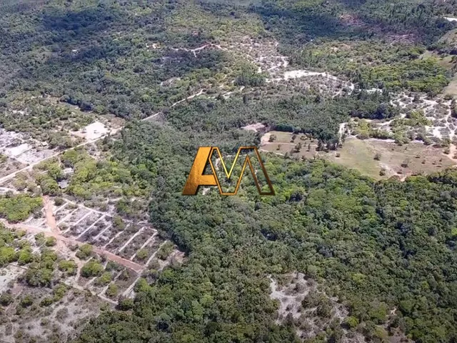 Imagem 4: SÍTIO EM MATA DE SÃO JOÃO