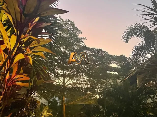 Imagem 7: Área À Venda no Bairro Centro - Maraú/Ba