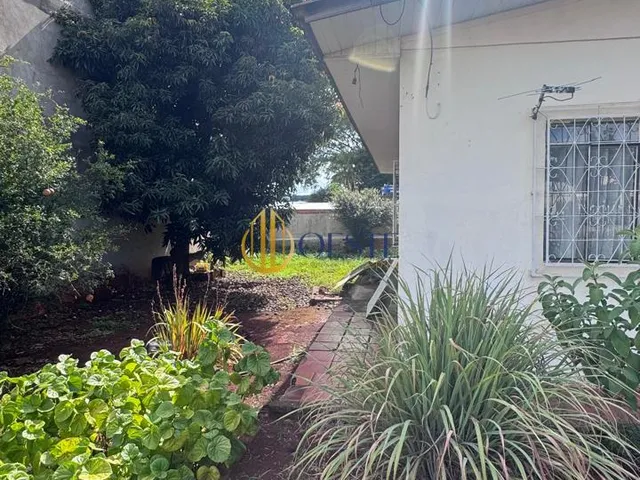 Imagem 10: Terreno com casa à venda, NEVA, CASCAVEL - PR
