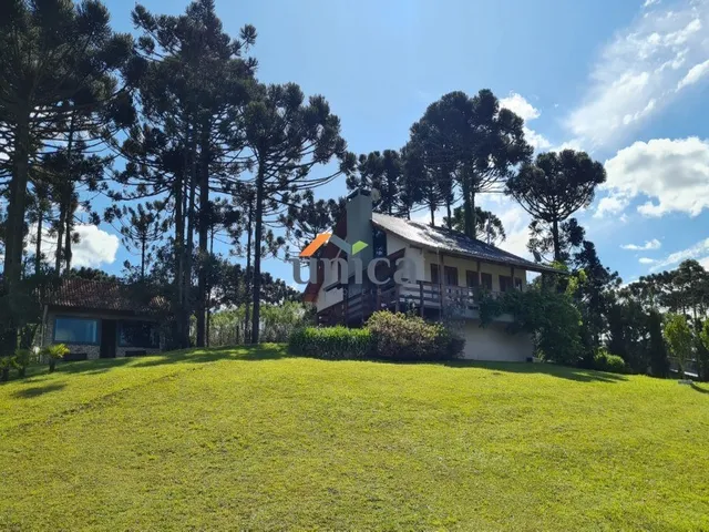 Imagem: Chácara, Fazenda, Sítio, Campo Alegre