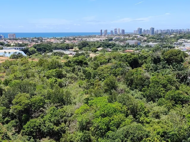 Imagem 3: 0 Apartamento com 3 dormitórios