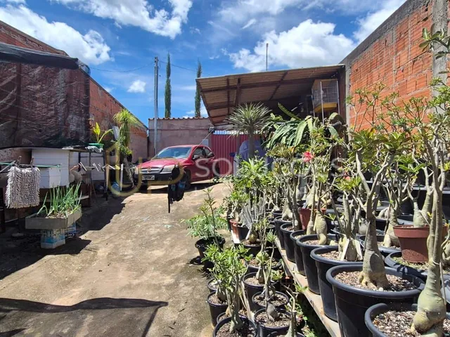 Imagem 6: Casa no Vale dos Pinheiros | 2 Quartos | Terreno 165m² | Preço de Lote
