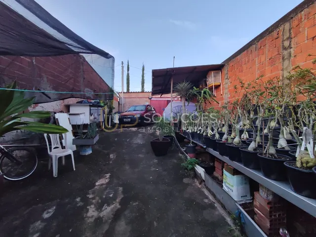 Imagem 14: Casa no Vale dos Pinheiros | 2 Quartos | Terreno 165m² | Preço de Lote