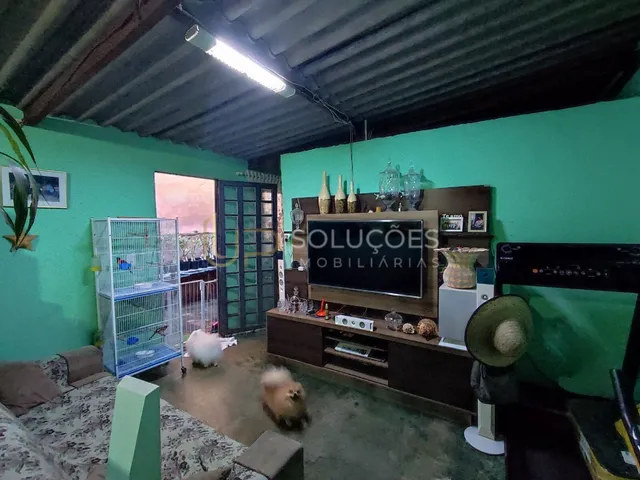 Imagem 13: Casa no Vale dos Pinheiros | 2 Quartos | Terreno 165m² | Preço de Lote
