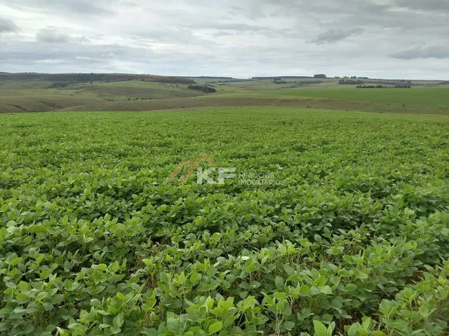 Imagem 1: Fazenda a Venda no Triângulo Mineiro- Sacramento-MG