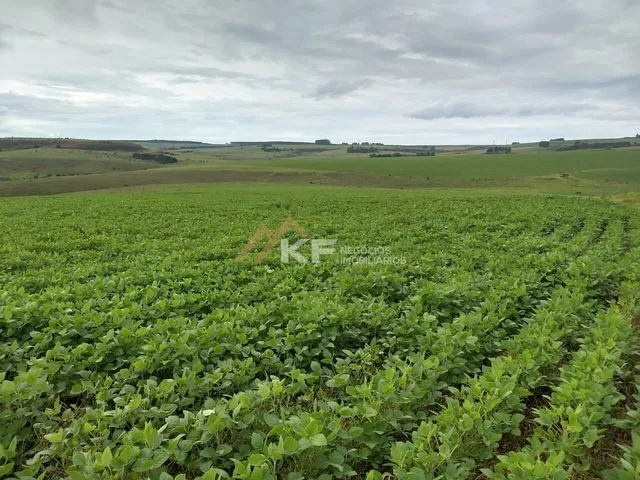 Imagem 5: Fazenda a Venda no Triângulo Mineiro- Sacramento-MG