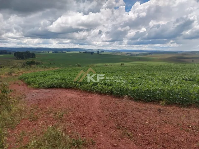 Imagem 8: Fazenda a Venda no Triângulo Mineiro- Sacramento-MG
