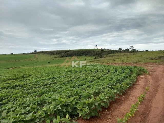Imagem 4: Fazenda a Venda no Triângulo Mineiro- Sacramento-MG