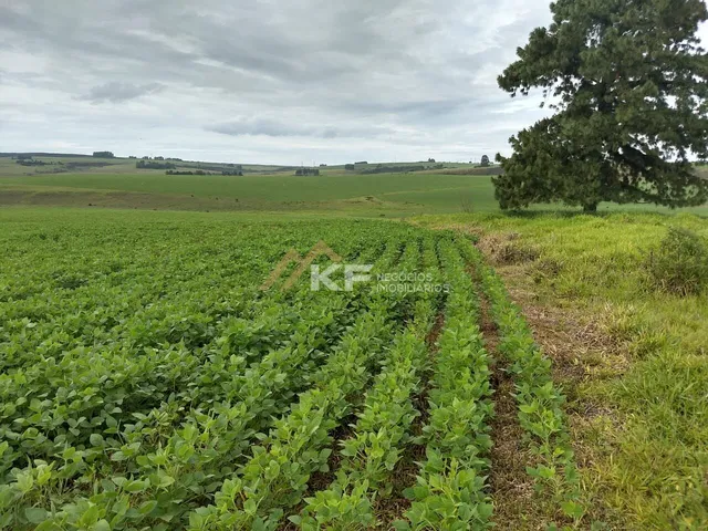 Imagem 2: Fazenda a Venda no Triângulo Mineiro- Sacramento-MG