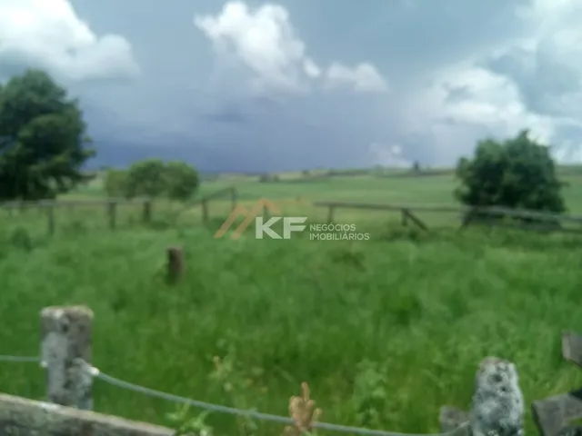 Imagem 15: Fazenda a Venda no Triângulo Mineiro- Sacramento-MG