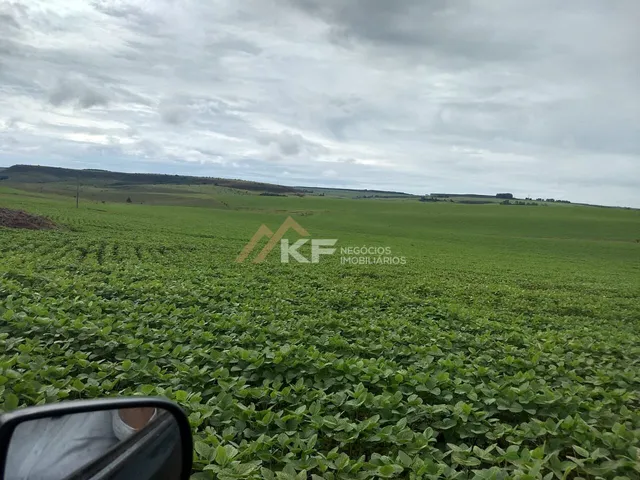 Imagem 9: Fazenda a Venda no Triângulo Mineiro- Sacramento-MG