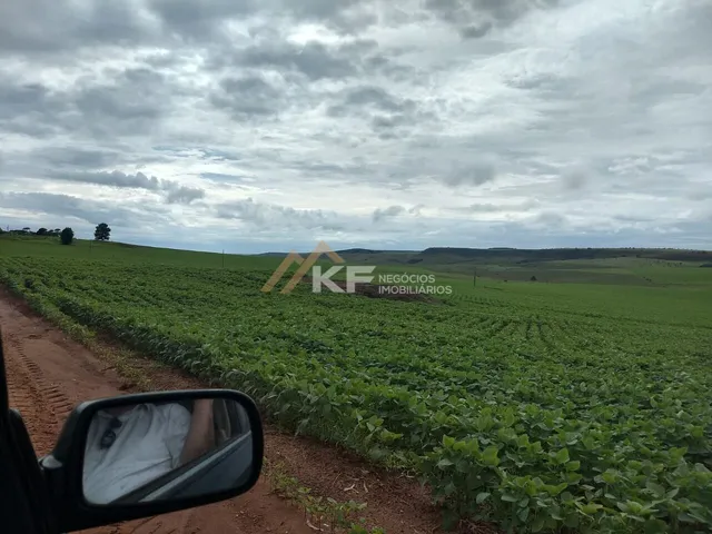 Imagem 11: Fazenda a Venda no Triângulo Mineiro- Sacramento-MG