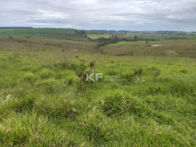 Imagem 6: Fazenda a Venda no Triângulo Mineiro- Sacramento-MG