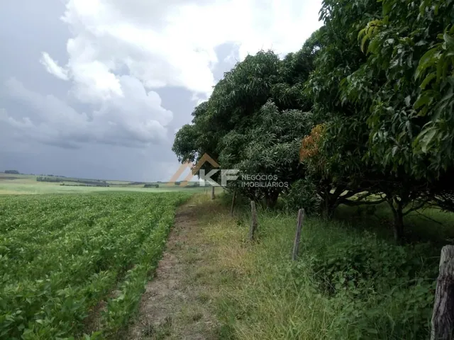 Imagem 10: Fazenda a Venda no Triângulo Mineiro- Sacramento-MG