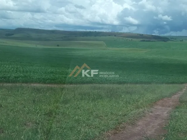 Imagem 7: Fazenda a Venda no Triângulo Mineiro- Sacramento-MG