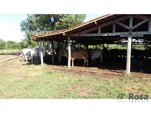 Imagem 13: CHÁCARA / SITIO para venda DISTRITO DE NOSSA SRA DA GUIA Cuiabá