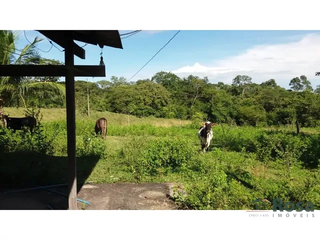 Imagem 8: CHÁCARA / SITIO para venda DISTRITO DE NOSSA SRA DA GUIA Cuiabá