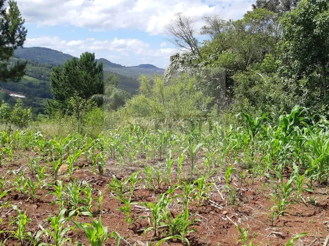 Imagem 7: Área à venda no bairro Centro - Linha Nova/RS