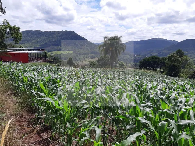 Imagem 5: Área à venda no bairro Centro - Linha Nova/RS