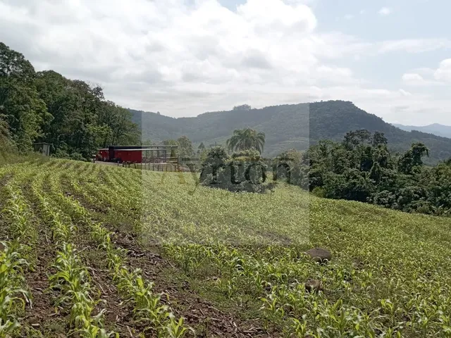 Imagem 3: Área à venda no bairro Centro - Linha Nova/RS